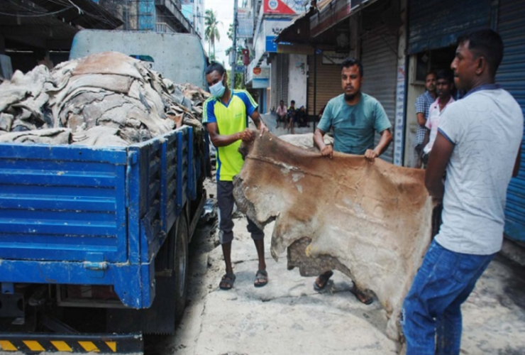 আজ থেকে চামড়া কিনবেন ট্যানারি মালিকরা