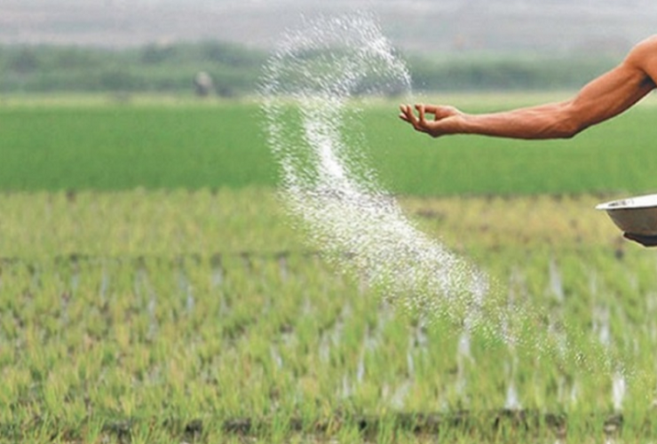 ইউরিয়া সারের দাম কেজিতে বেড়েছে ৬ টাকা