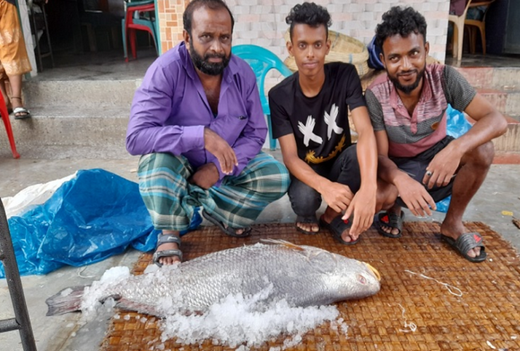 ১৯ কেজির ভোল মাছ ১ লাখ ৯০ হাজার টাকায় বিক্রি