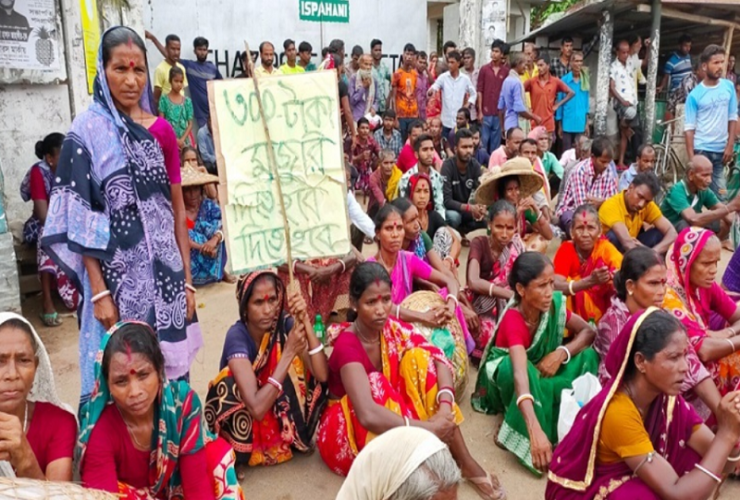 চা শ্রমিকদের দৈনিক মজুরি ১৪৫ টাকা, কর্মবিরতি প্রত্যাহার