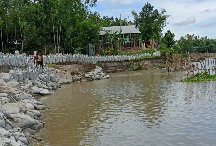 ইসলামপুরে ভাঙ্গন আতংকে নদী পাড়ের মানুষ