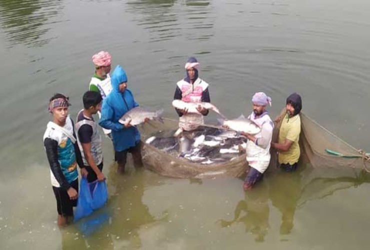 আলোর পথে ফিরে স্বাবলম্বী রাজশাহীর ৫৭ জন চরমপন্থী