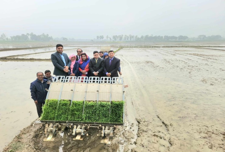 ধামরাইয়ে রাইস ট্রান্সপ্লান্টারের মাধ্যমে ধানের চারা রোপণ উদ্বোধন