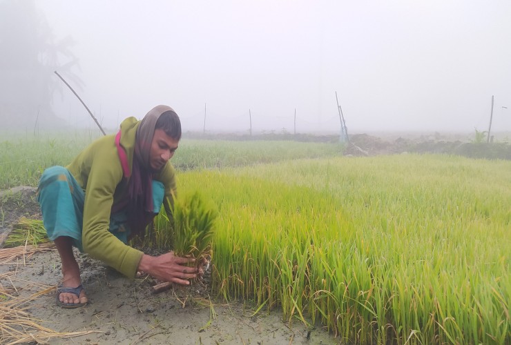 গরীবের পেট কি আর ঠান্ডা বোঝে ভাই