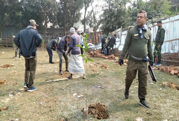 গাজীপুরে ৪ একর জমি উদ্ধার করে চারা রোপন করেছে বন বিভাগ