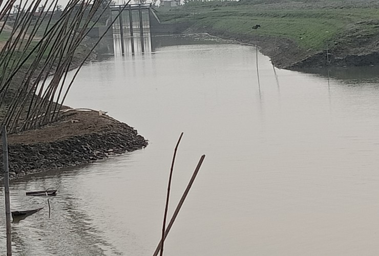 মাটিয়ান হাওরের সুইস গেইটের সামনে' বেড়িবাঁধ নির্মাণ