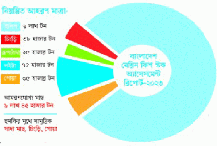 কমে আসছে সামুদ্রিক মাছের মজুত