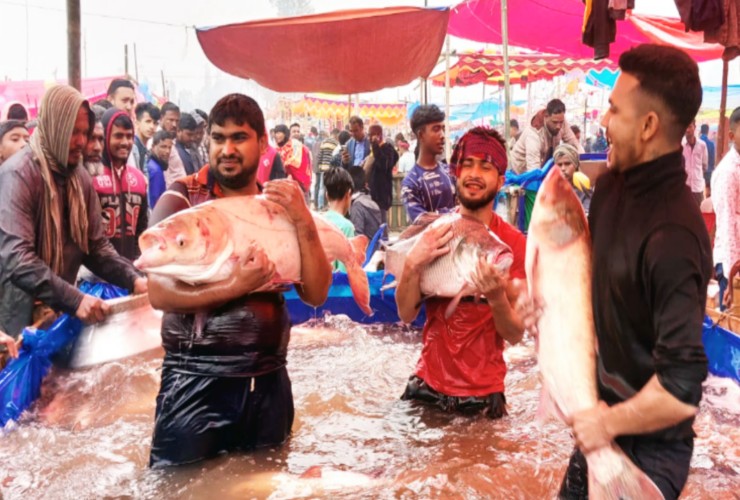 বগুড়া পোড়াদহ মেলায় একদিনেই ৫ কোটি টাকার মাছ বিক্রি