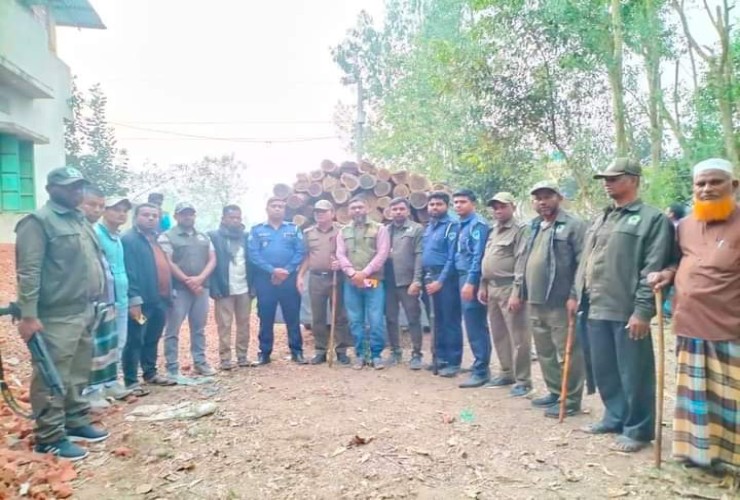 পদুয়া রেঞ্জের অভিযনে বিবিধ প্রজাতির গোল কাঠ জব্দ