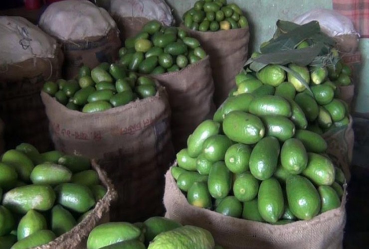 শ্রীমঙ্গলে যে কারণে বেড়েছে লেবুর দাম